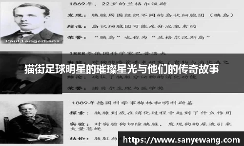 猫街足球明星的璀璨星光与他们的传奇故事